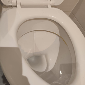 Move Out Cleaning Newcastleton